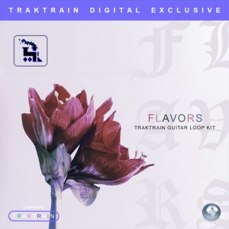 Cover for «Flavors» Traktrain Guitar Loop Kit