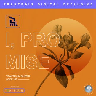 Cover for «I, promise» Traktrain Guitar Loop Kit
